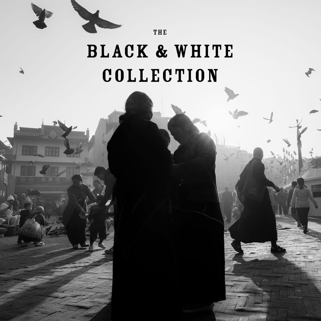 a black and white photo titled the black & white collection