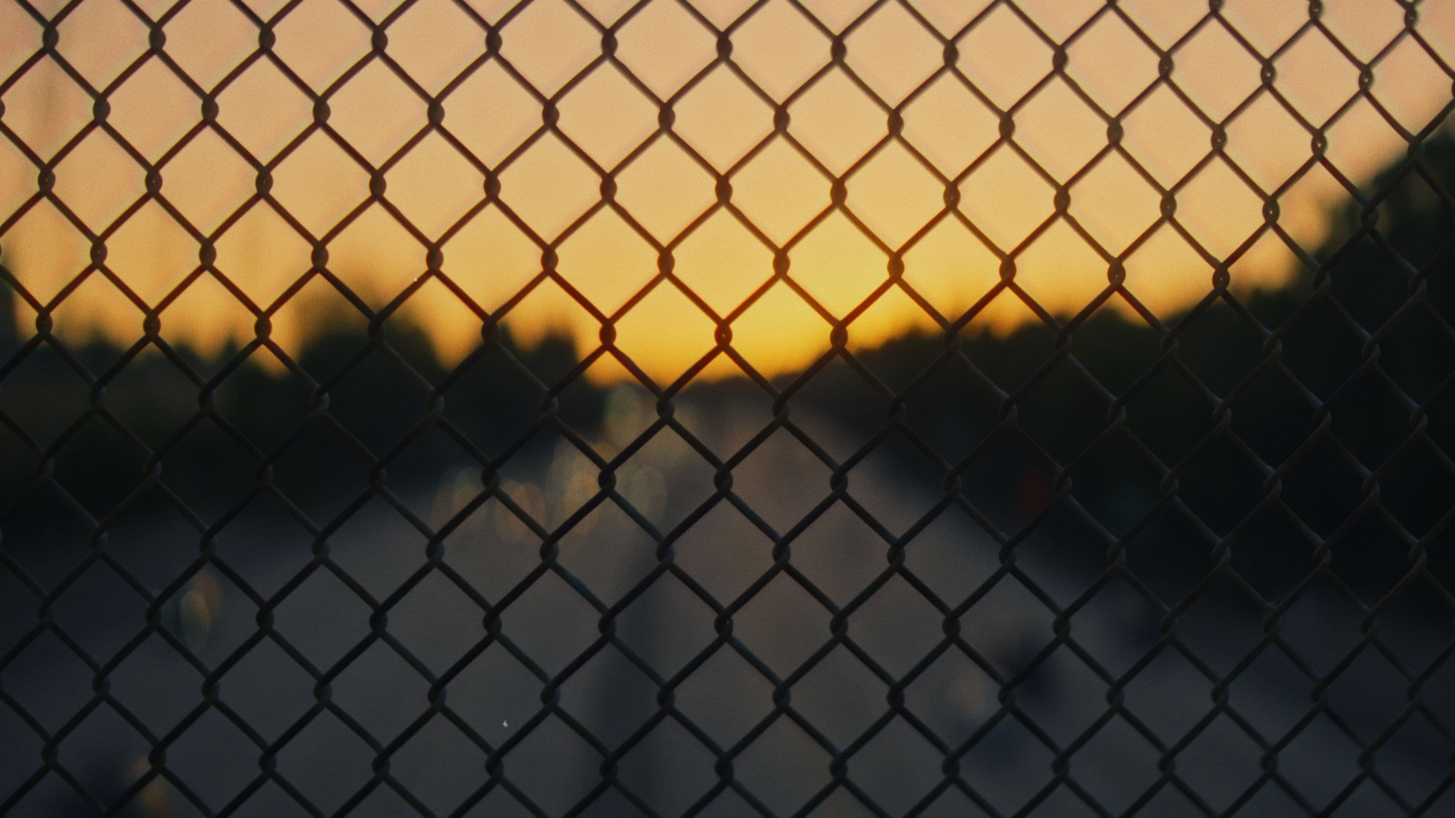 An image without an alt, whoops
