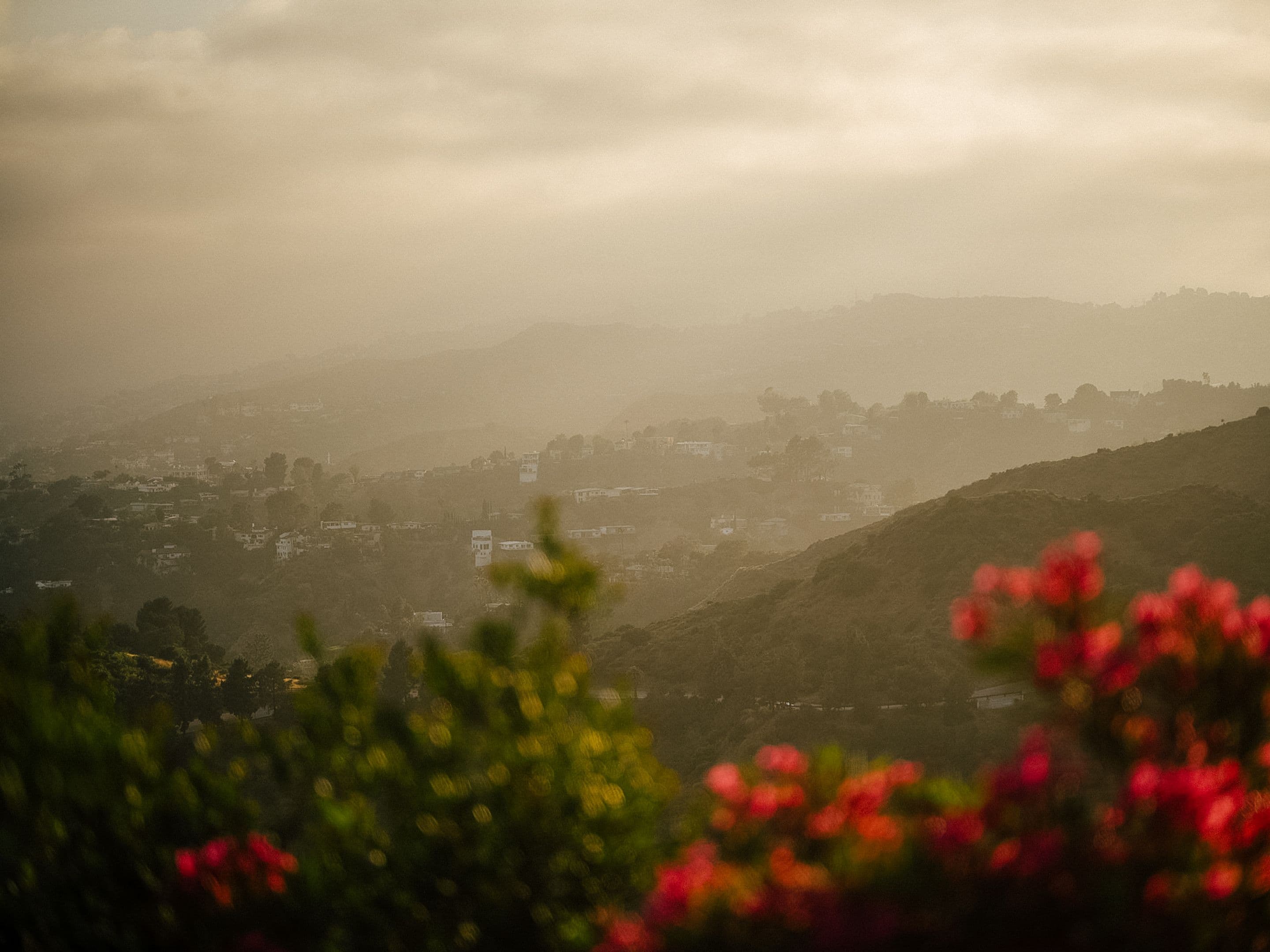 Shot On CineBloom VND 20%