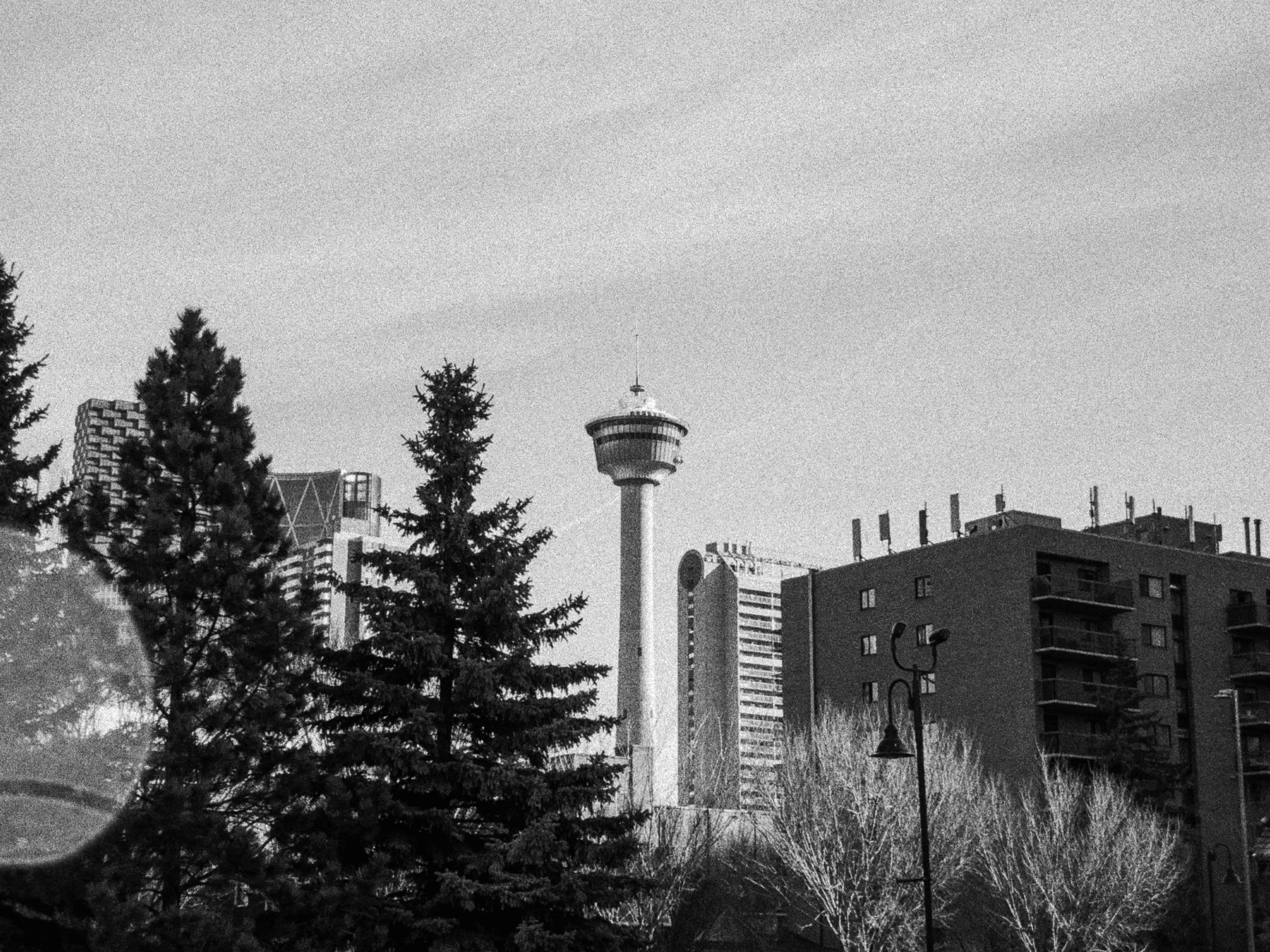Image by Davey on the iPhone 16 Pro, edited w/ Ilford HP5 in Dehancer.