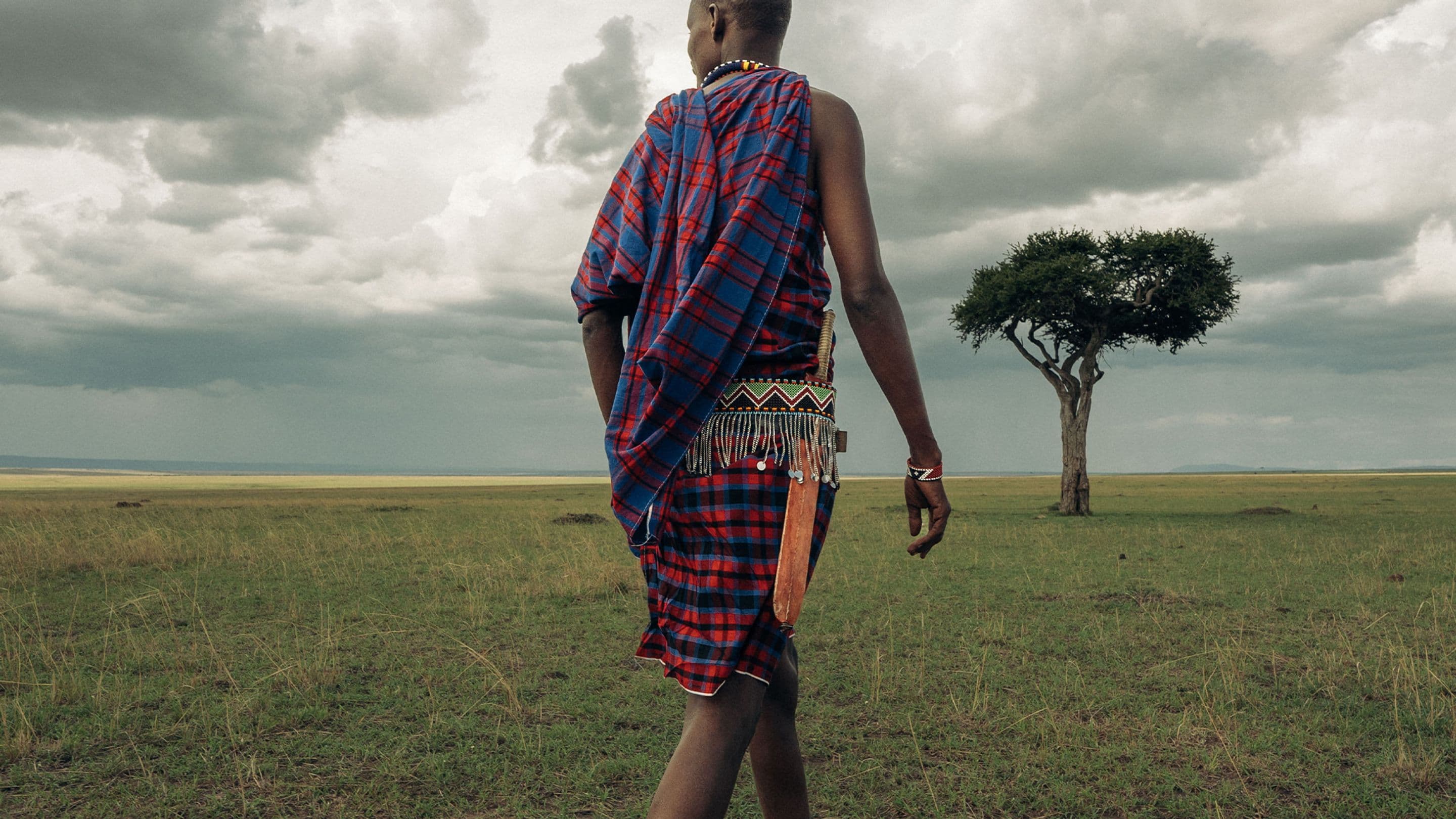 a man in a plaid shirt is walking through a grassy field .