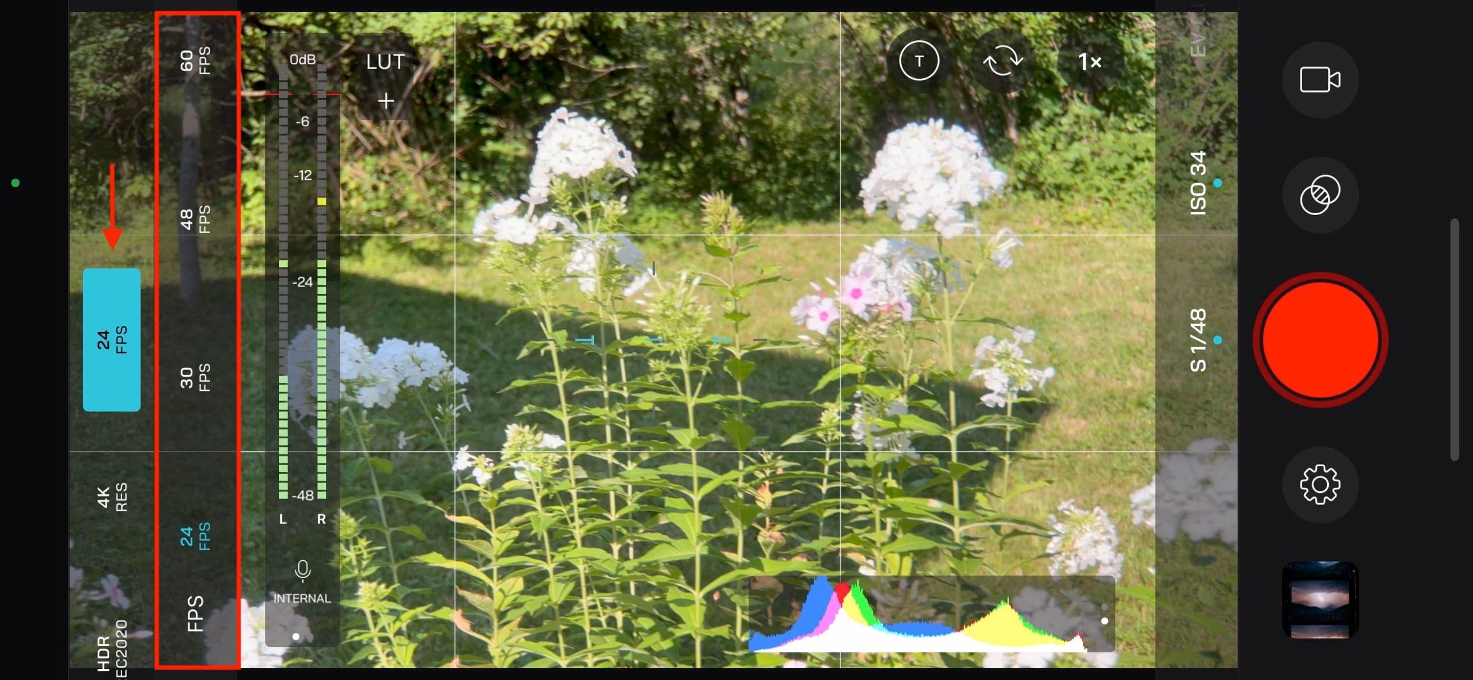 Frame Rates