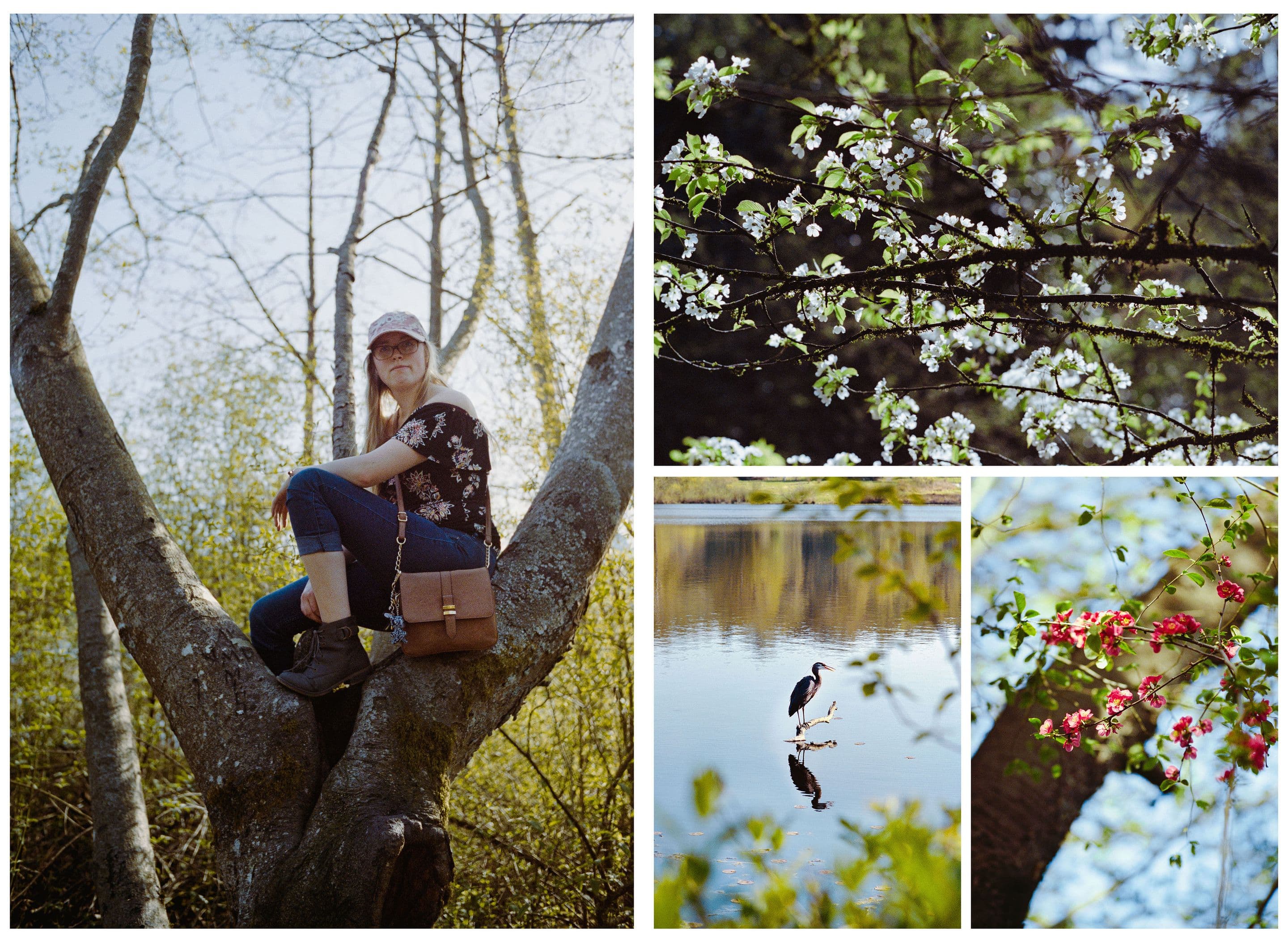 Portra 400 pushed one stop (metered at 800 iso and developed at 800iso)