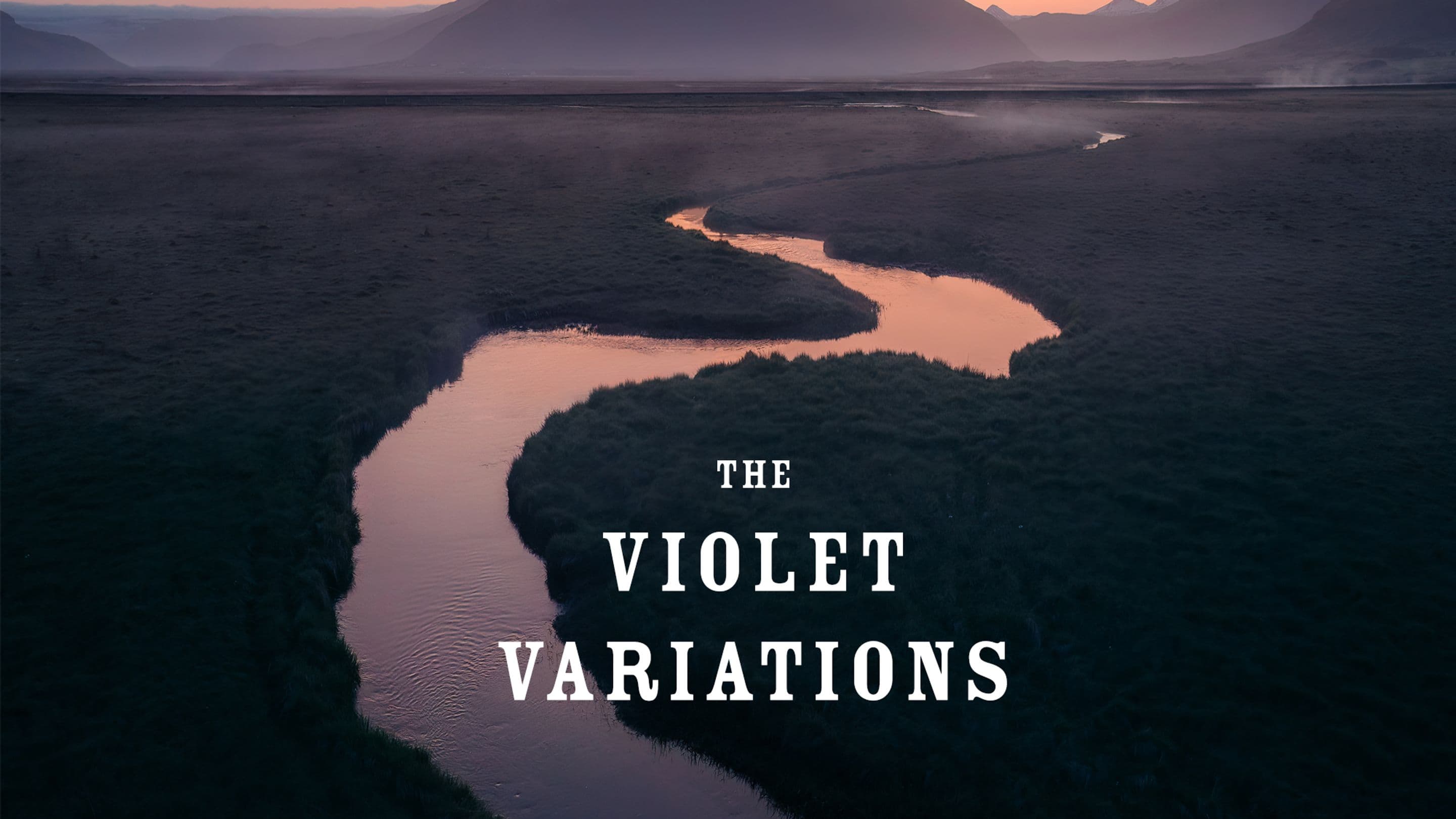 the cover of the violet variations 11 presets