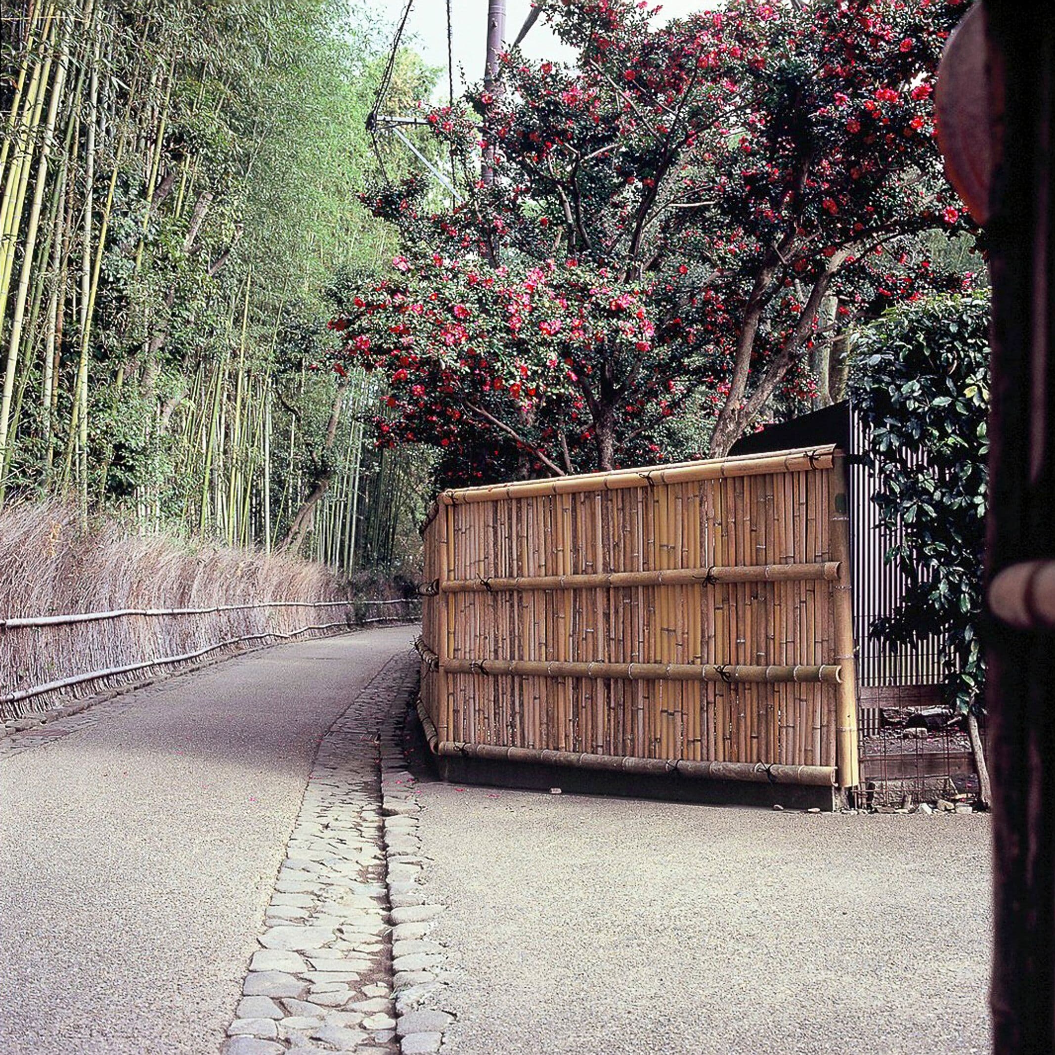 Image on Fujifilm Velvia 50 by @filmandpixel
