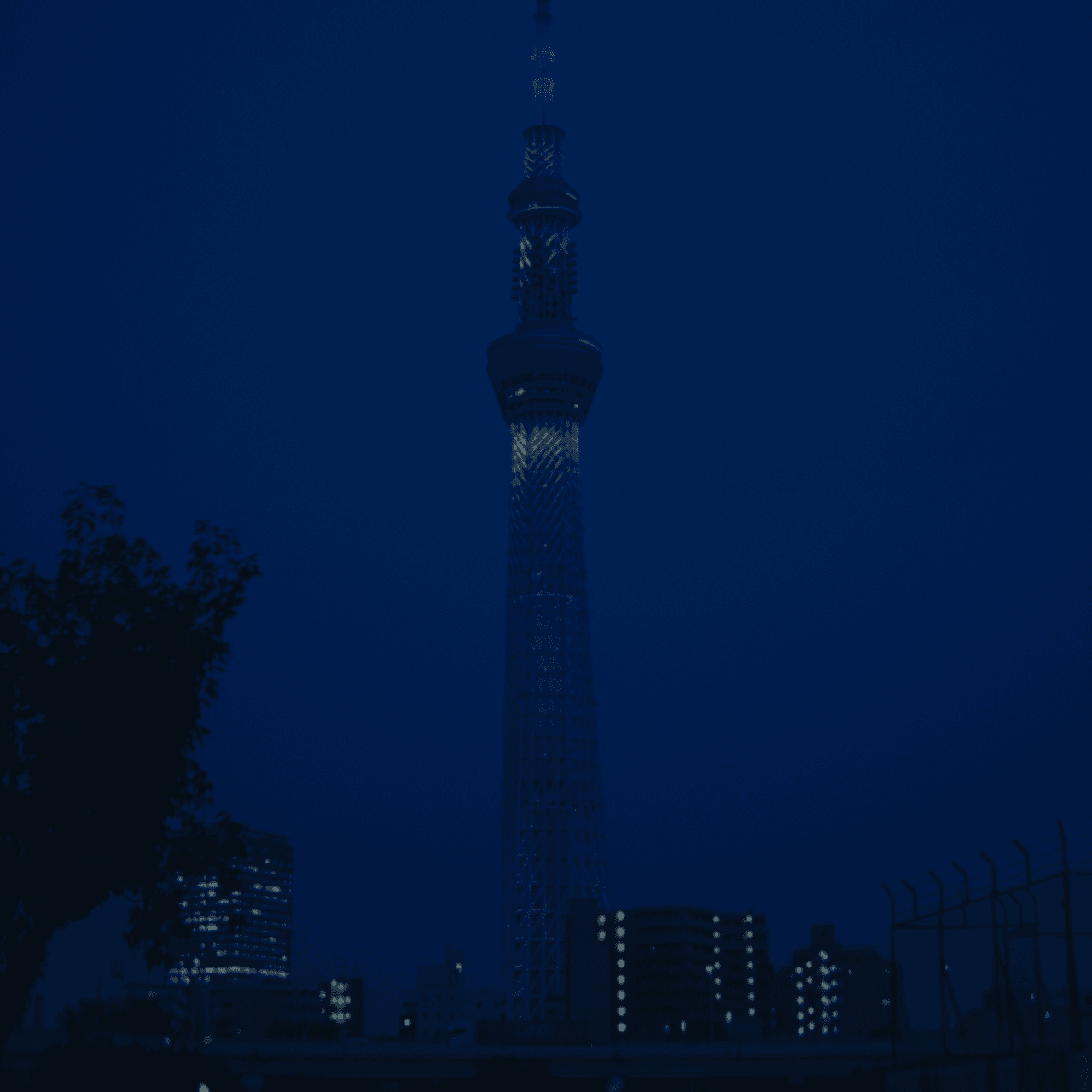 An image without an alt, whoops